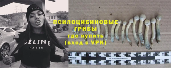 индика Аркадак