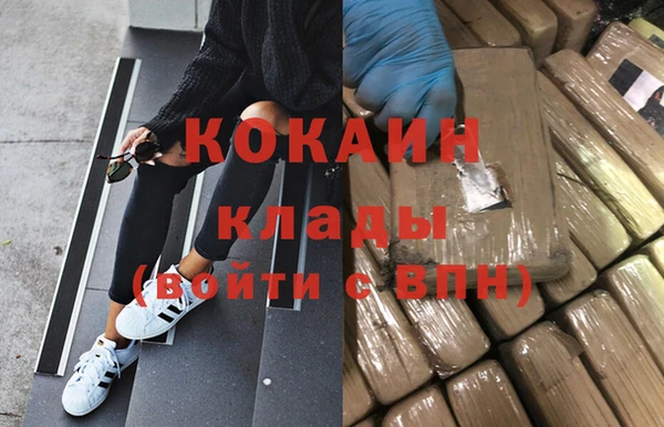 индика Аркадак