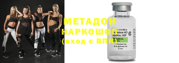 индика Аркадак