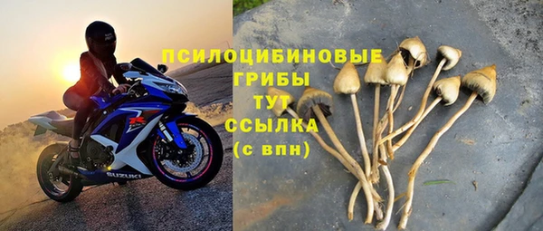 индика Аркадак