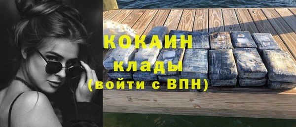 индика Аркадак