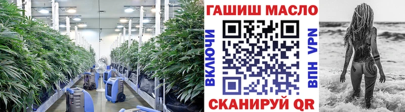 сколько стоит  Чехов  Дистиллят ТГК концентрат 