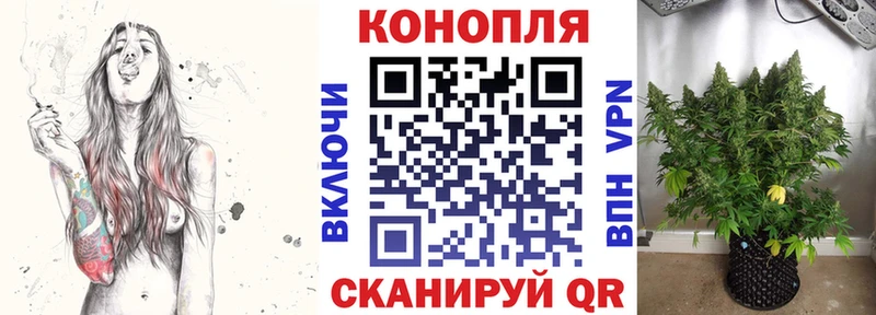 где купить наркоту  Чехов  omg ТОР  Бошки марихуана AK-47 